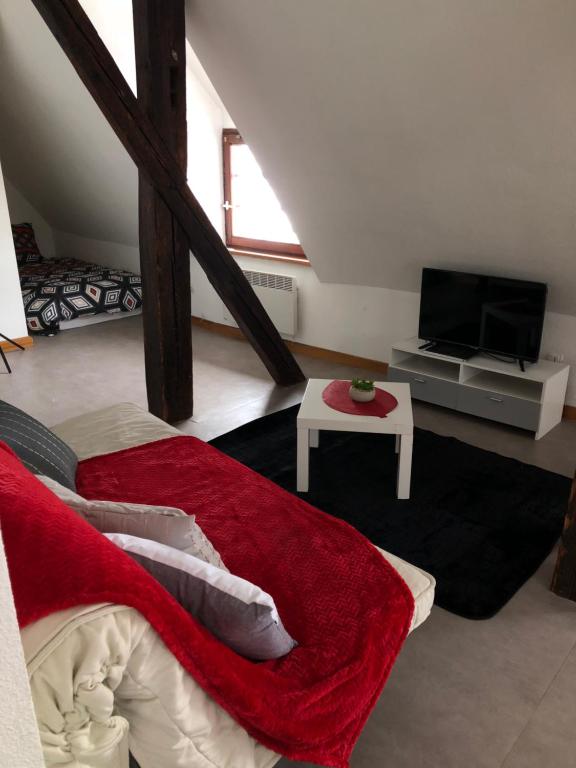 salon z łóżkiem i telewizorem w obiekcie Duplex à Ribeauvillé w mieście Ribeauvillé