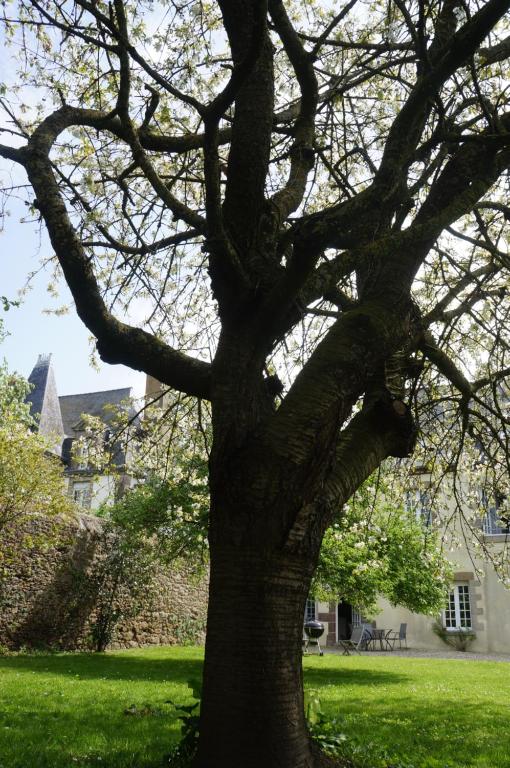 Zahrada ubytování Manoir 1685 Saint Malo
