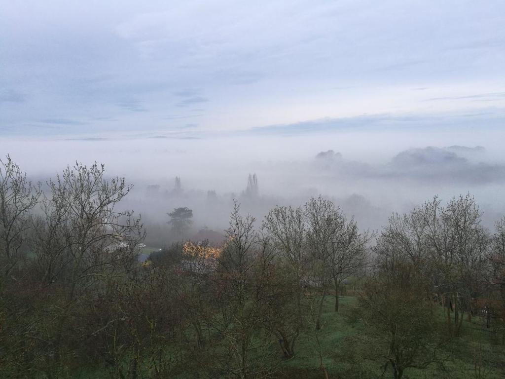 Příroda nedaleko apartmánu