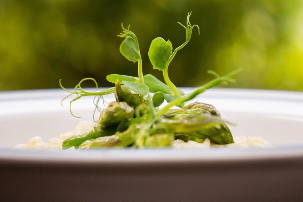 a green plant on a plate of food at Nest in Drobeta-Turnu Severin