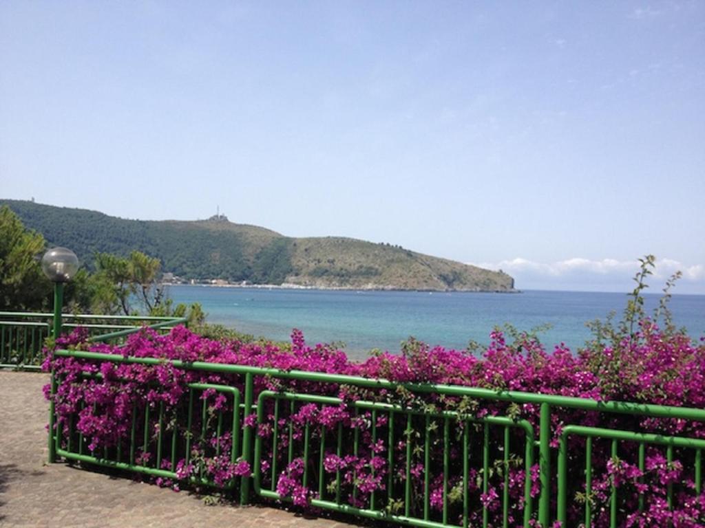 a fence with purple flowers in front of the water at Casa Palinuro Vacanze in Palinuro