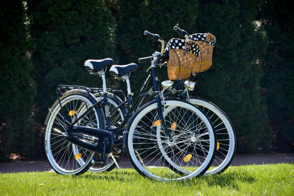 Hotel Restauracja Tenis Kortowo - Resim 21