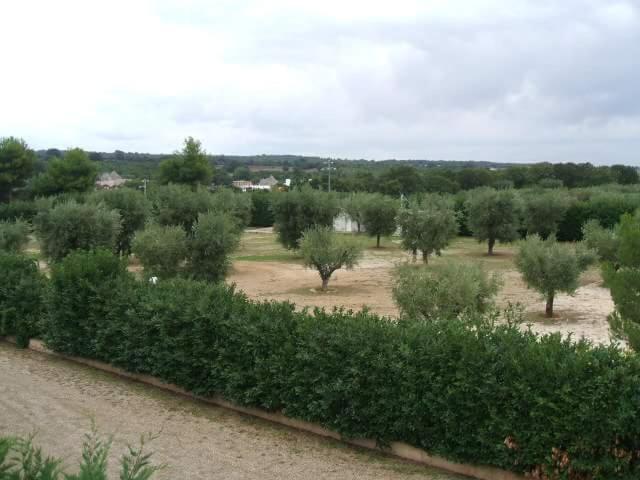 een veld vol bomen en struiken in een veld bij Locazione turistica Green Park in Martina Franca