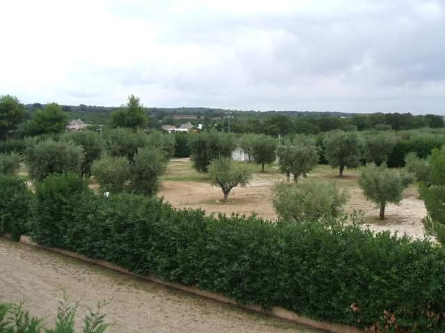 マルティナ・フランカにあるLocazione turistica Green Parkの畑の木々や茂みに満ちた畑