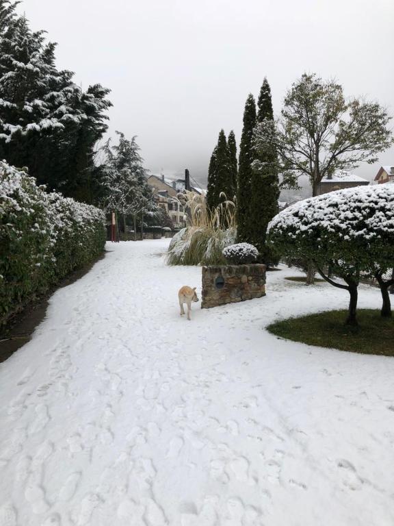 Apartament Valls d'Aneu v zimě