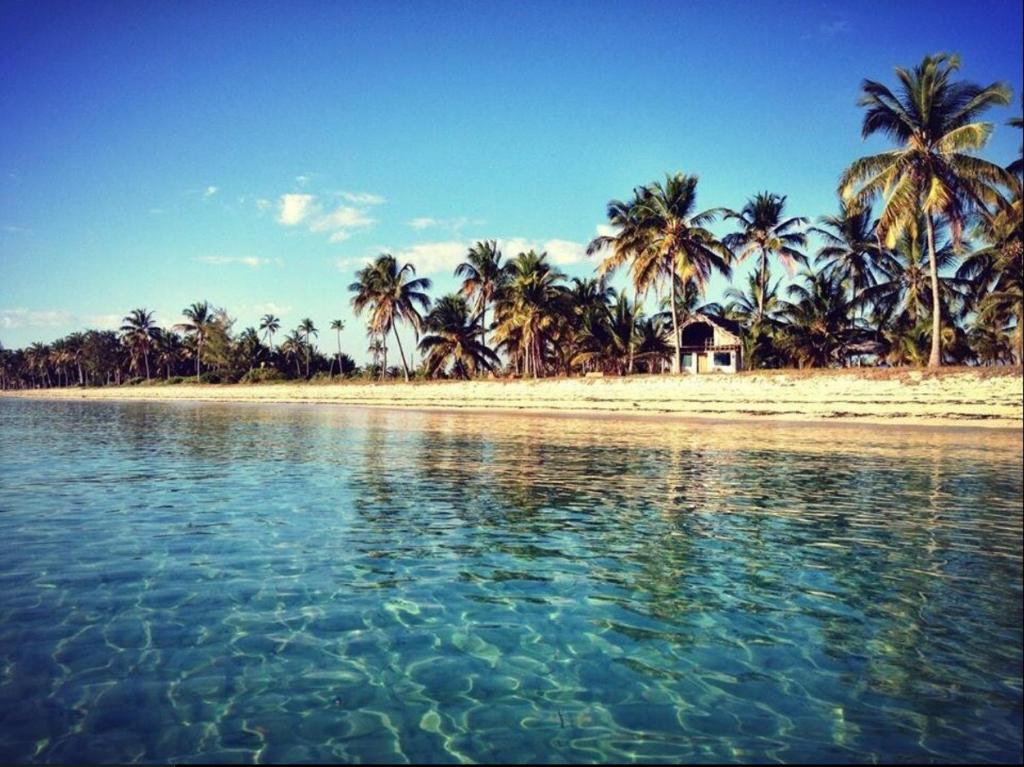 a view of a beach with palm trees and the water at Kilwa Beach Lodge in Kilwa Masoko