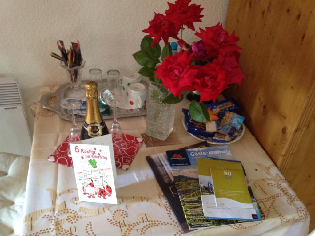 Gästehaus Europa - 8