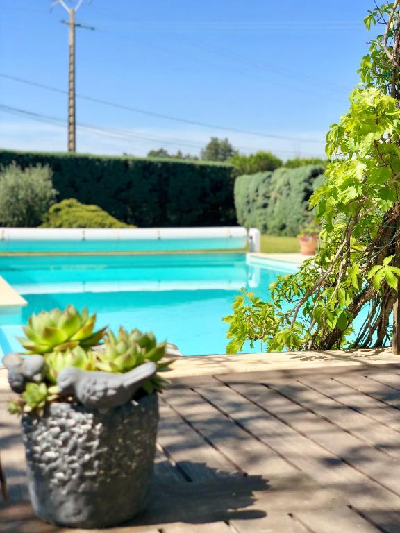 Le clos des vergers - 15