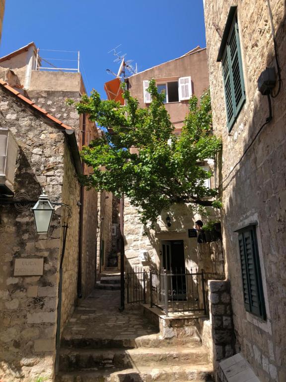 Fotografia z galérie ubytovania Elegant Apartment Leila v Dubrovníku