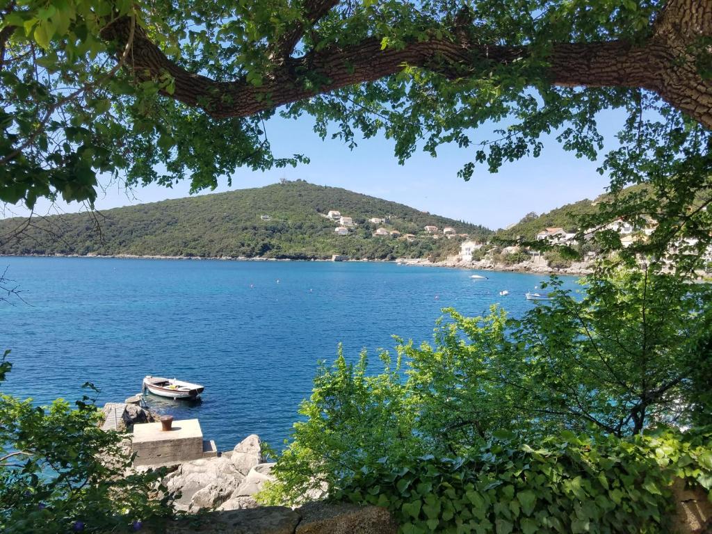 Príroda v okolí apartmánu