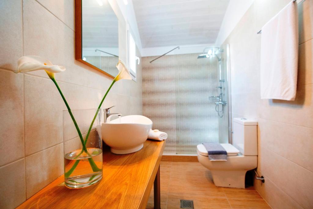 La salle de bains est pourvue d'un lavabo et d'un vase sur un comptoir. dans l'établissement Captain Nick Aparthotel, à Mikros Gialos