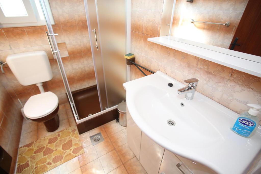 łazienka z umywalką, prysznicem i toaletą w obiekcie Apartment Michelle w Bibinje