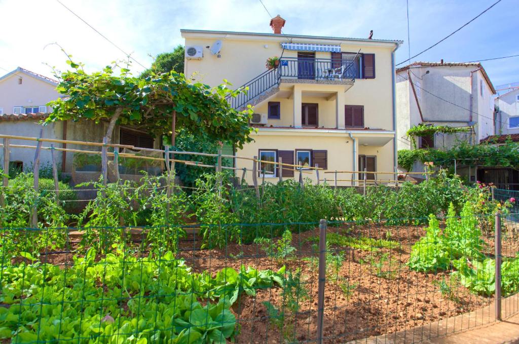 マリンスカにあるApartment Ivaの庭のある家