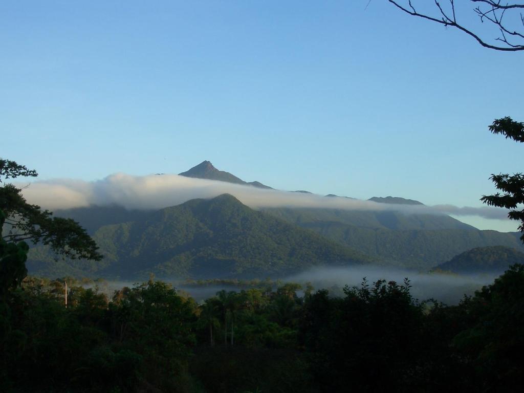 ein nebliges Tal mit einem Berg im Hintergrund in der Unterkunft Epiphyte B & B in Cape Tribulation