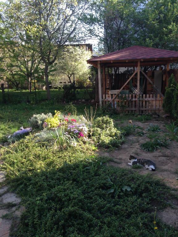 A garden outside Black&Red Apartment