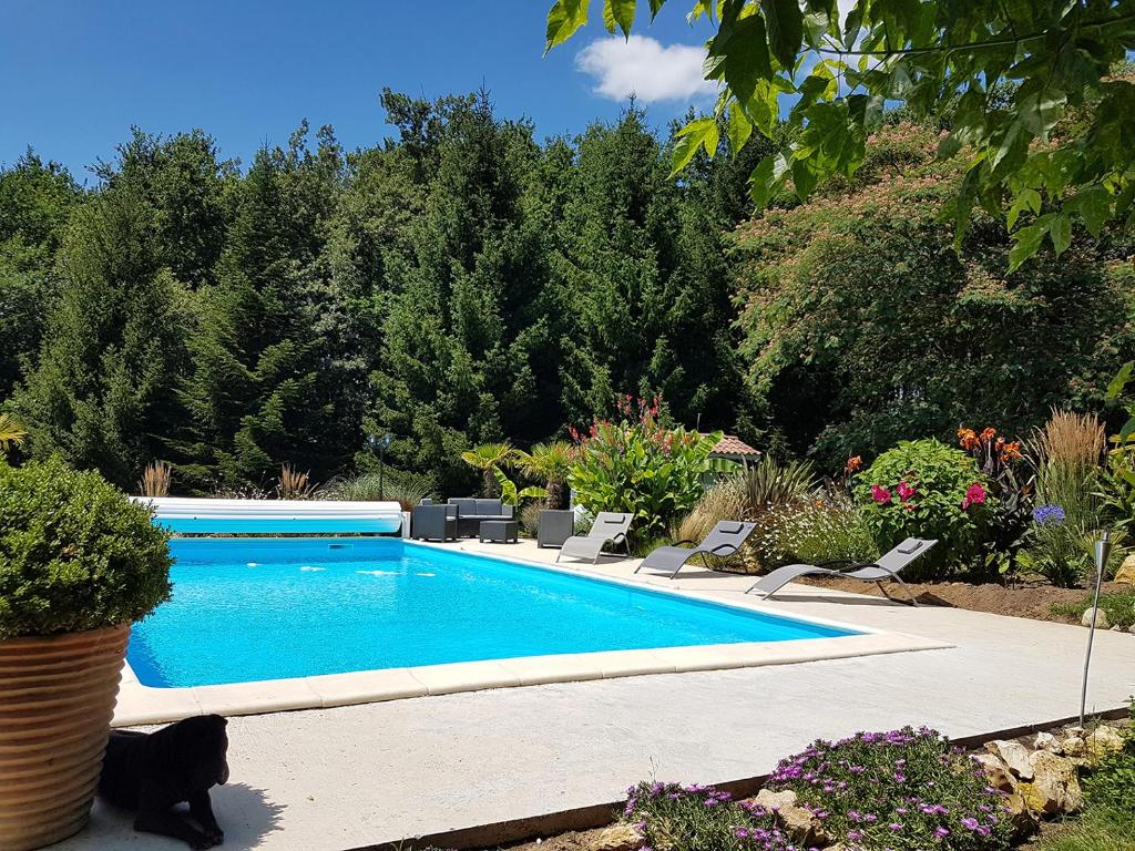 un chat noir assis à côté d'une piscine dans l'établissement Gîte Pigerot, à Lucbardez-et-Bargues