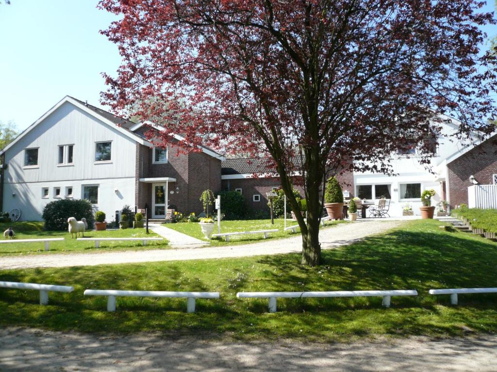 a house with a tree in the front yard at Landhaus Dr. Seiffert in Scharbeutz