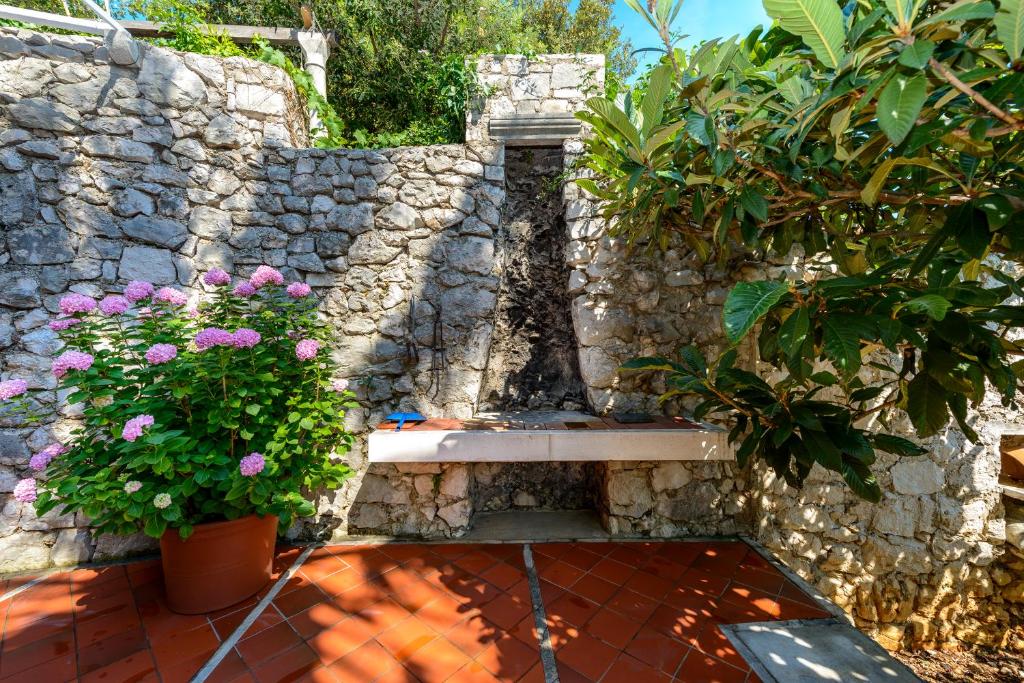 Vonkajšia záhrada v ubytovaní Two Palms Villa