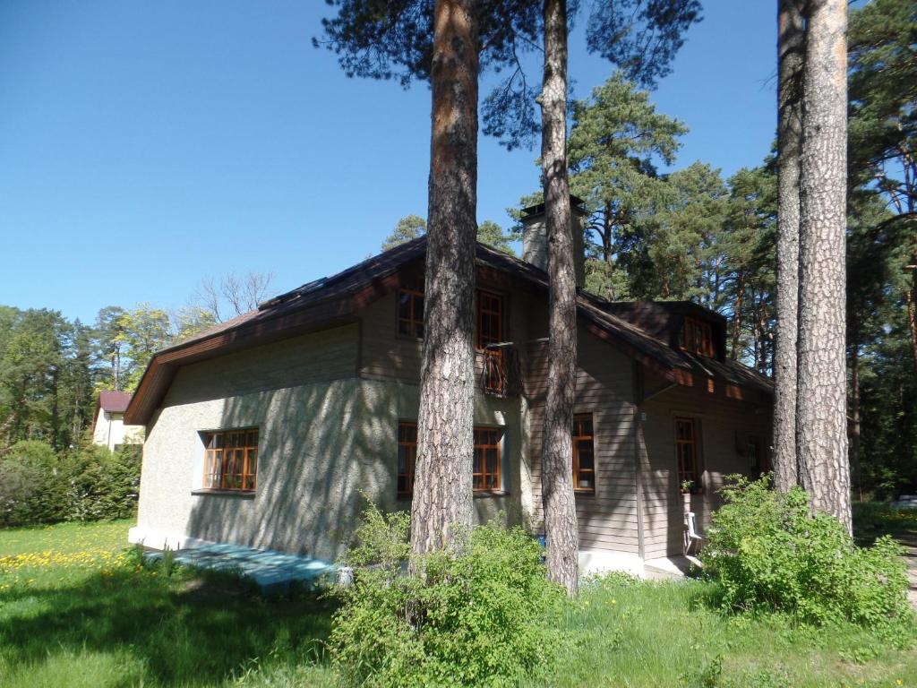 Zahrada ubytování Vabaduse Guesthouse