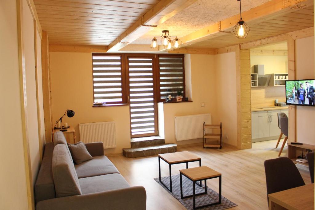 Televízia a/alebo spoločenská miestnosť v ubytovaní Apartamenty Pod Niedźwiedziem I