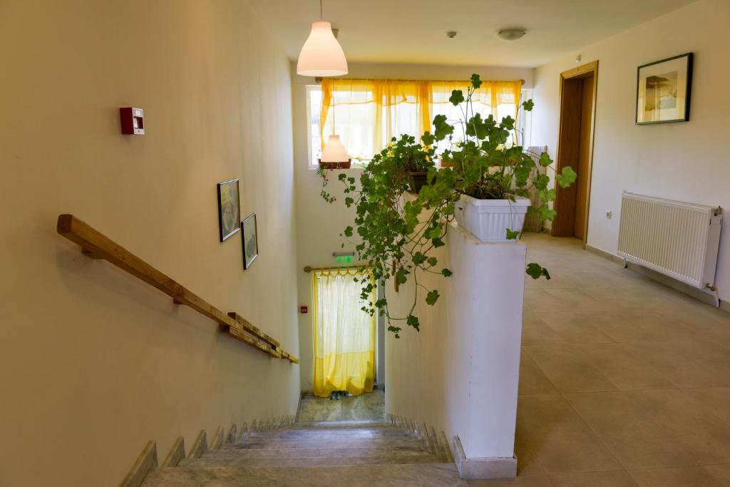 Fotografie z fotogalerie ubytování Villa "Forest way" v destinaci Pirdop