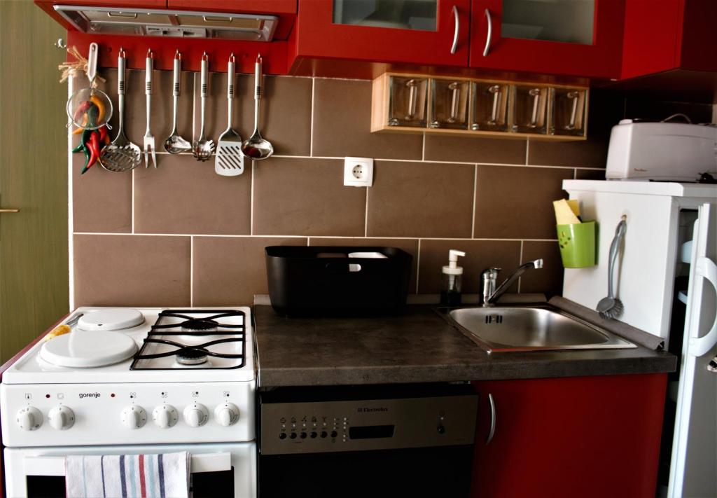 Una cocina o cocineta en Apartments Livun Tuheljske Toplice