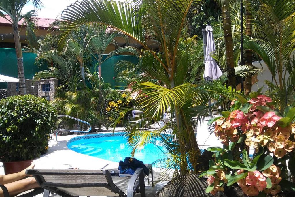 Bazén v ubytování Coyaba Tropical Elegant Adult Guesthouse nebo v jeho okolí