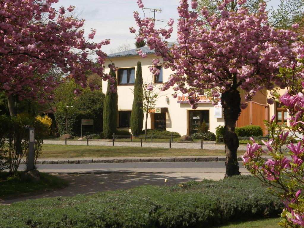 a house with pink flowering trees in front of a street at Pension "Am Schloß" in Lübben