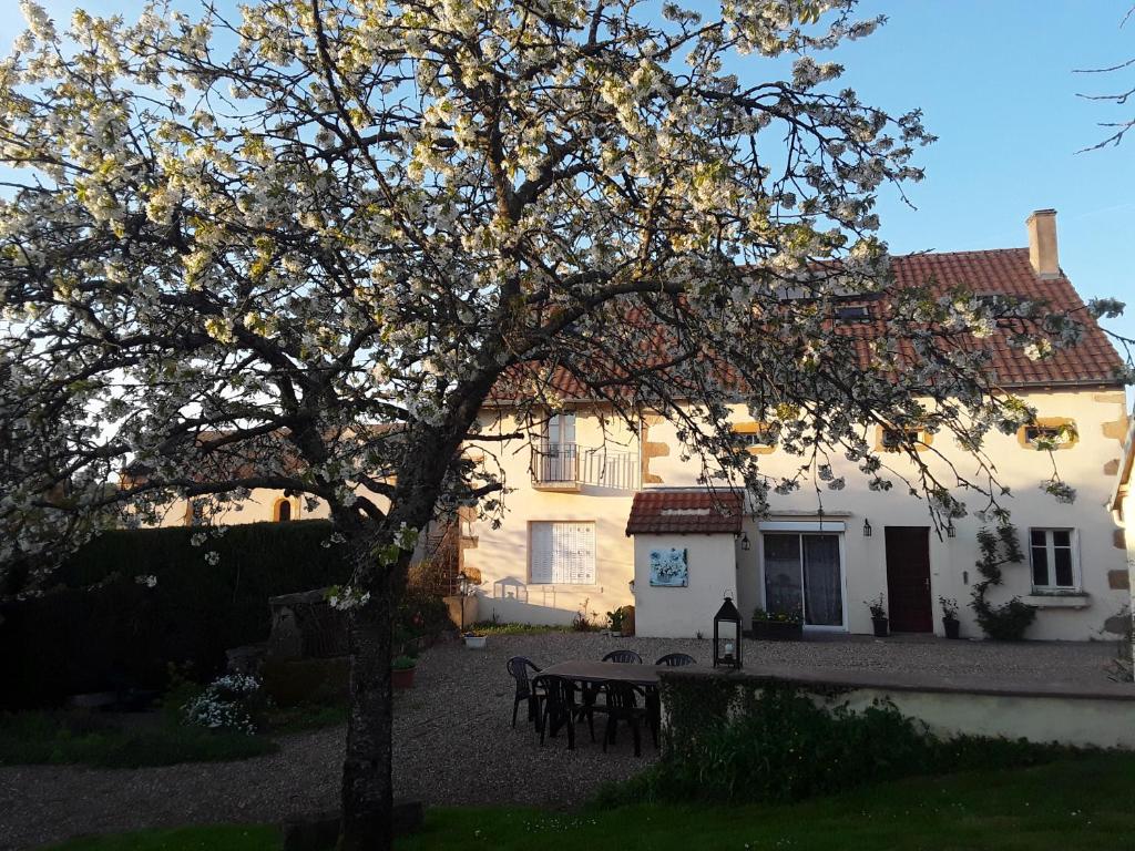 uma árvore em frente a uma casa branca com uma mesa em Escampette em Saint-Aubin-en-Charollais