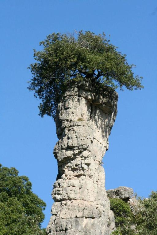 Fotografia z galérie ubytovania Vacanza in Ogliastra v destinácii Tertenìa