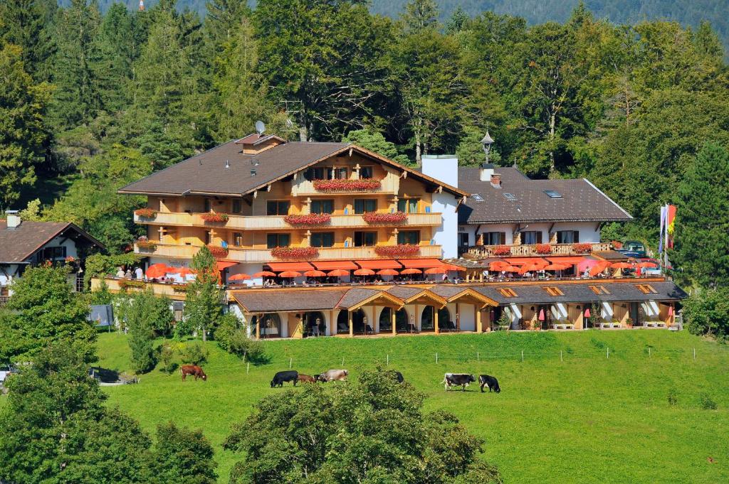 Příroda nedaleko hotelu