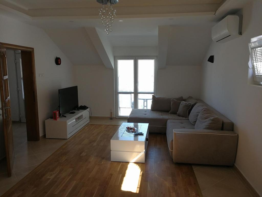 Televizorius ir (arba) pramogų centras apgyvendinimo įstaigoje Apartment Misulino