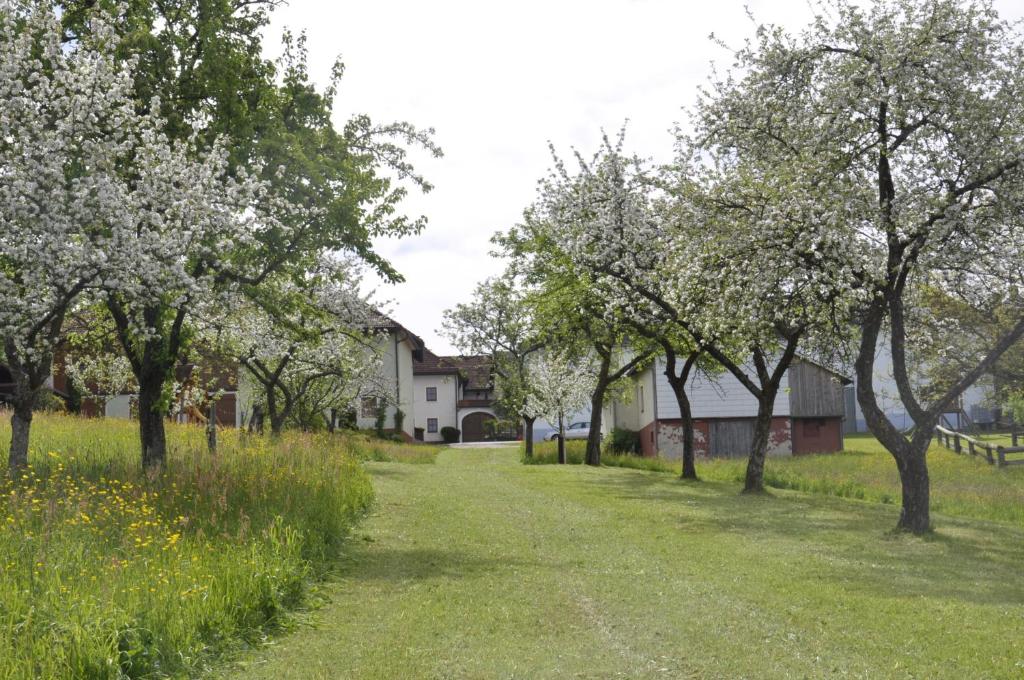 Zahrada ubytování Ferienwohnung Hinterdorfer