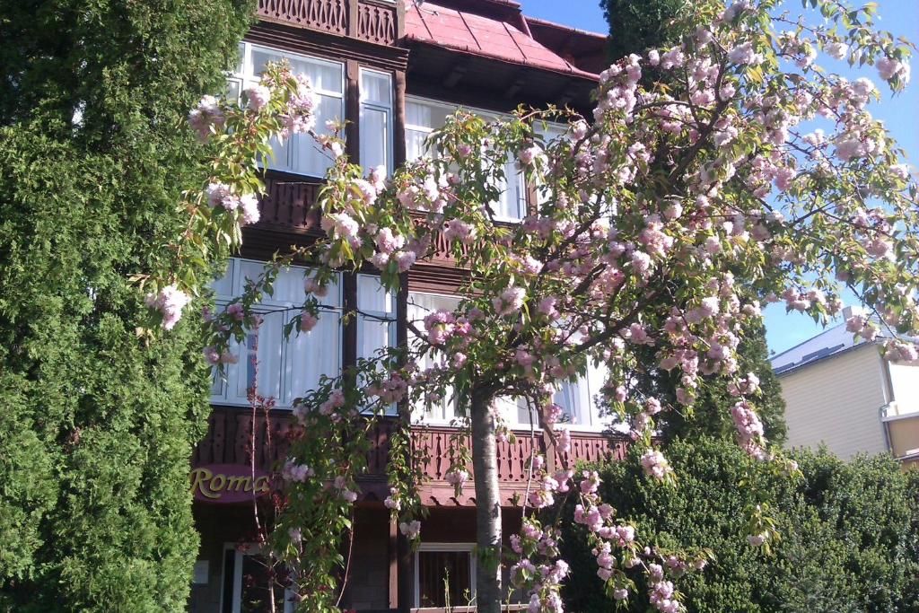 Zahrada ubytování Сонячна