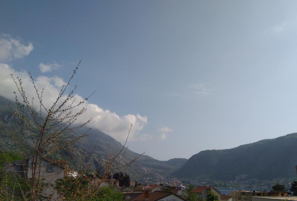 Příroda nedaleko apartmánu