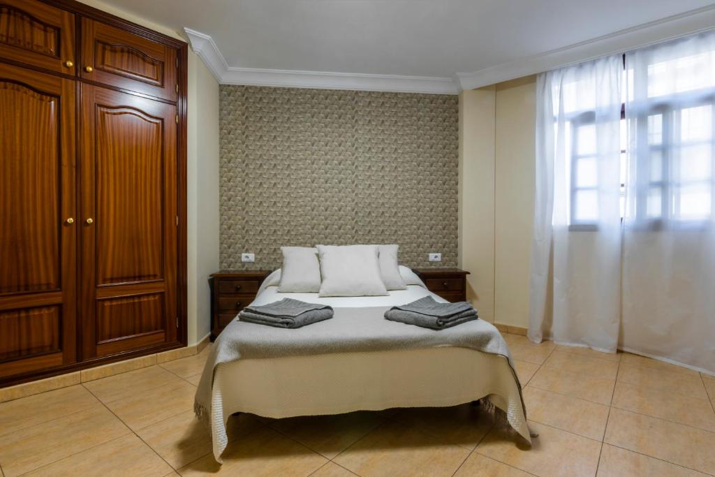 サンタクルス・デ・テネリフェにあるPiso en el Corazón de la Ciudadのベッドルーム1室(枕2つ付)
