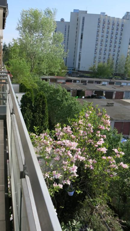 Vonkajšia záhrada v ubytovaní Vitalia Apart Rooms Bobrowiecka