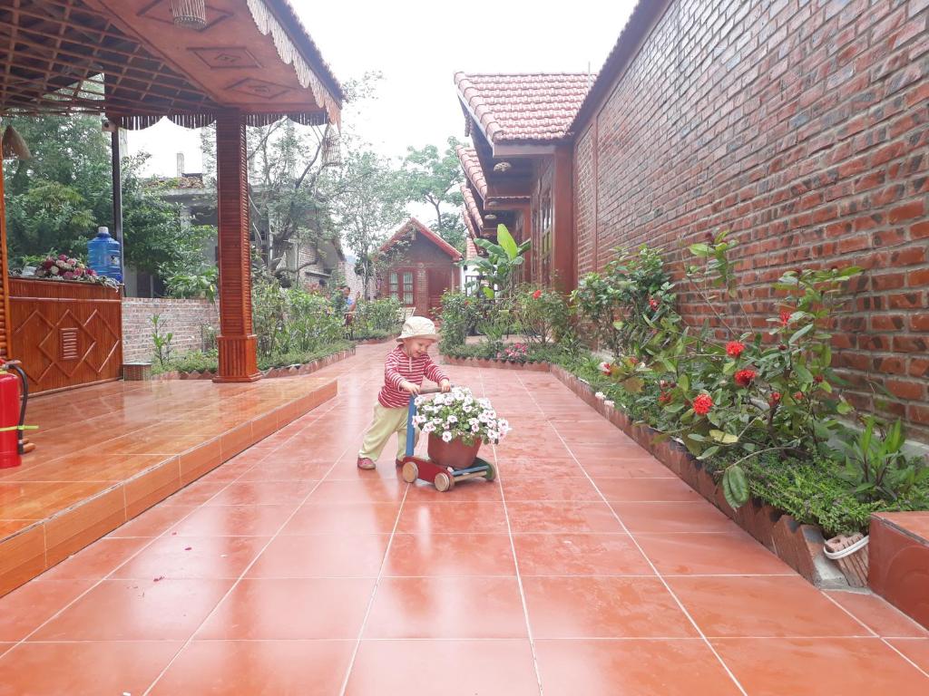 Tam Coc Rice Fields Homestay - 14