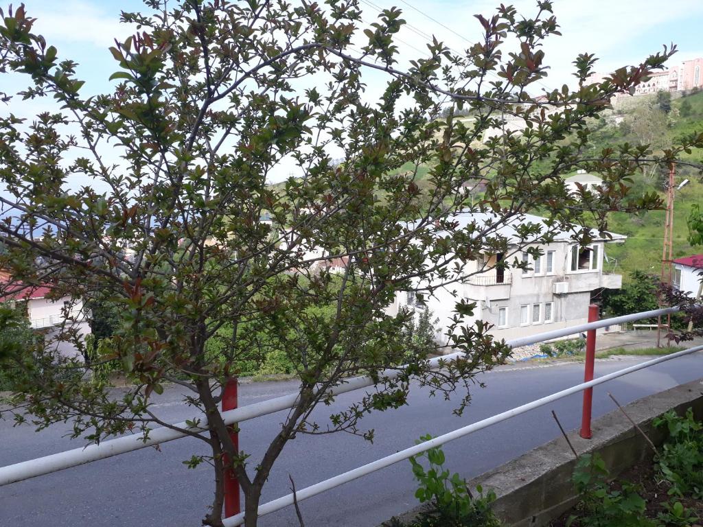 أكشابات فيلدج هاوس