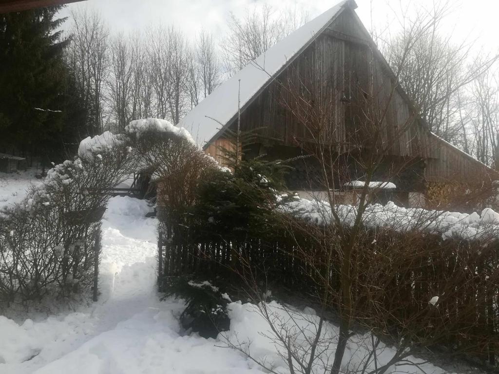 Apartmány Dana v zimě