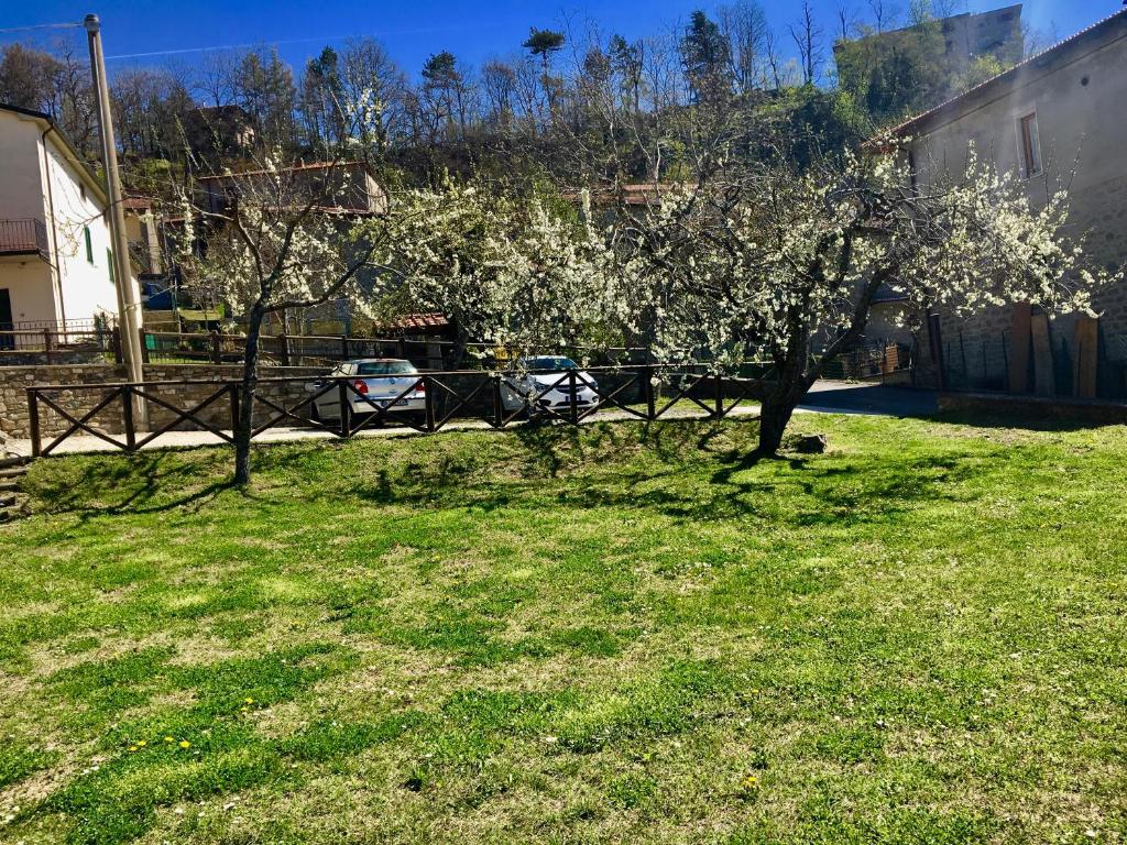 Zahrada ubytování Albergo Ristorante Letizia