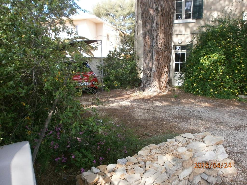 un cortile con un albero e un cumulo di rocce di Studio équipé avec jardin+parking à la plage... a La Ciotat