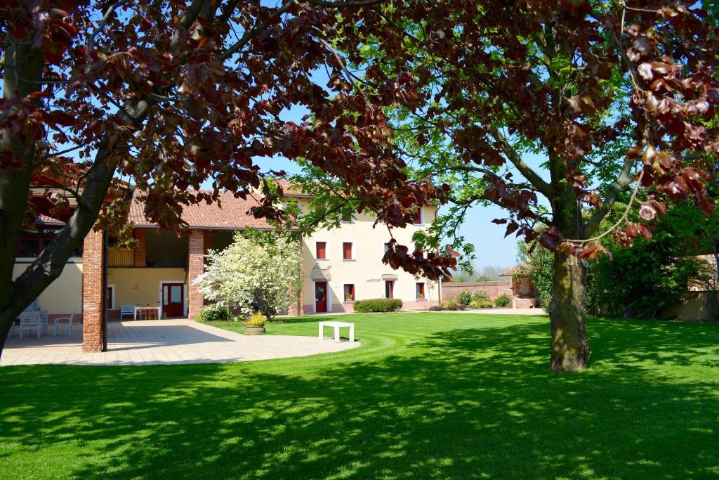 a tree in the middle of a green yard at Agriturismo Borgo Tecla in Rosà