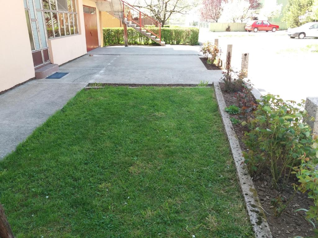 Apartments Mirković - 14