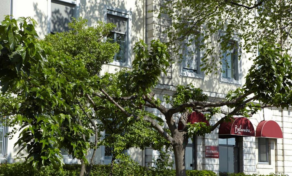 a building with a tree in front of it at Résidence Villemanzy in Lyon