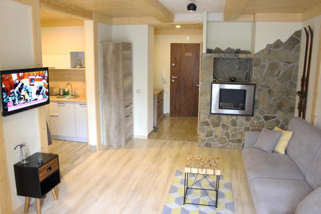 Televízia a/alebo spoločenská miestnosť v ubytovaní Apartamenty Pod Niedźwiedziem I
