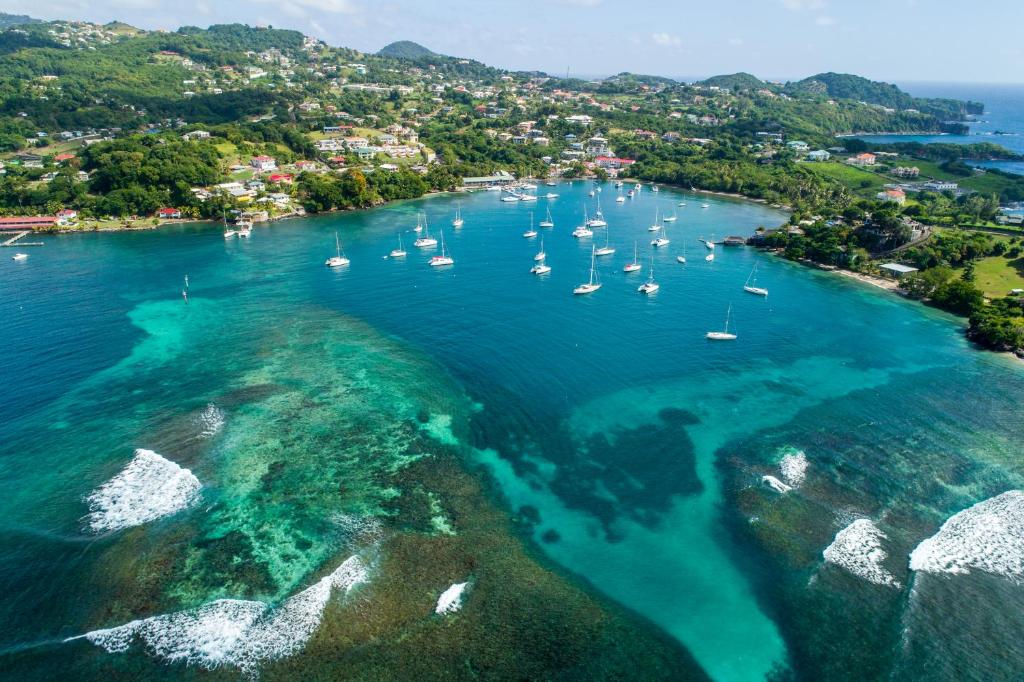 an aerial view of a harbor with boats in the water at Blue Lagoon Hotel and Marina Ltd in Kingstown