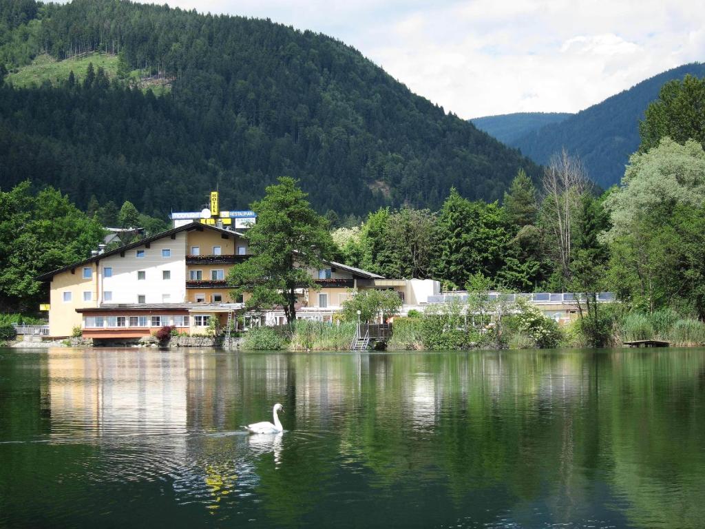 a swan swimming in a lake in front of a house at Hotel Seestuben in Villach