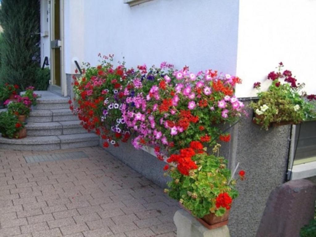 Studio Rouffach – photo 25