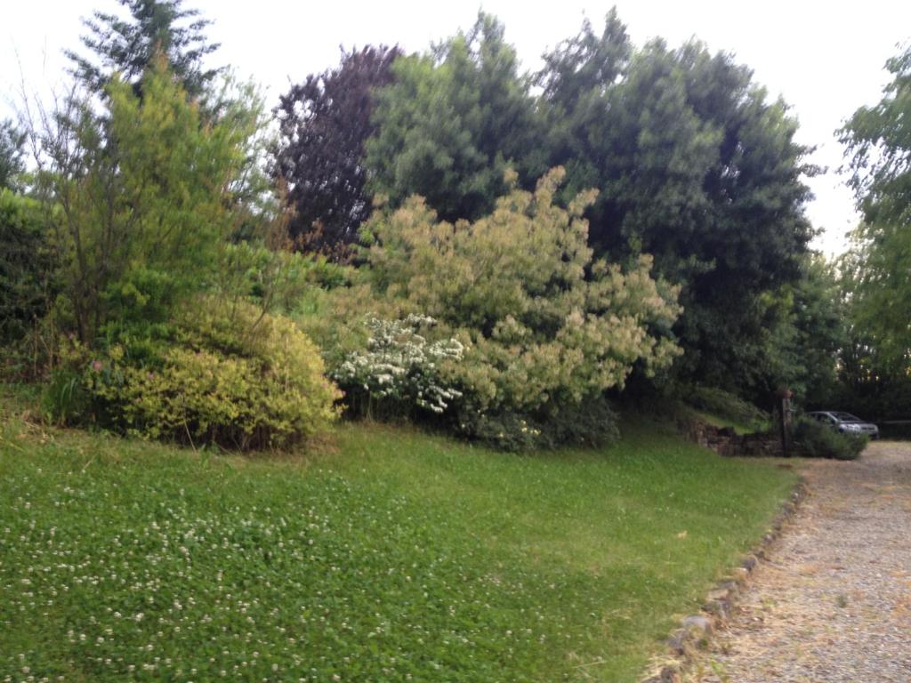 A garden outside Casa Colli Piacentini